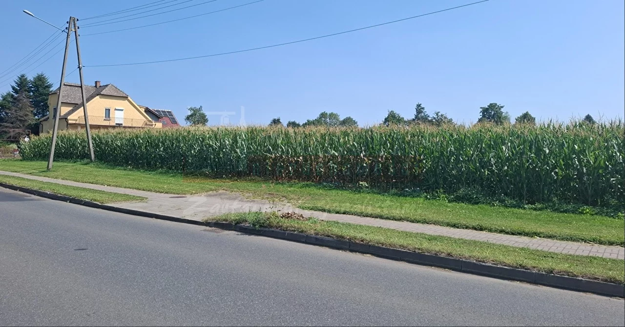 16308 - zdjęcie nr 0