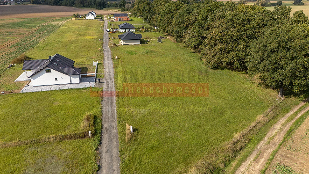 Działka 1 355,00 m², oferta nr , 16389, Niewodniki
