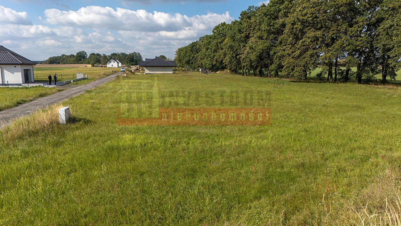 Działka 1 355,00 m², oferta nr , 16389, Niewodniki