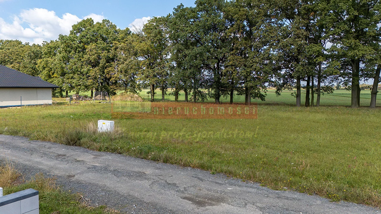 Działka 1 355,00 m², oferta nr , 16389, Niewodniki