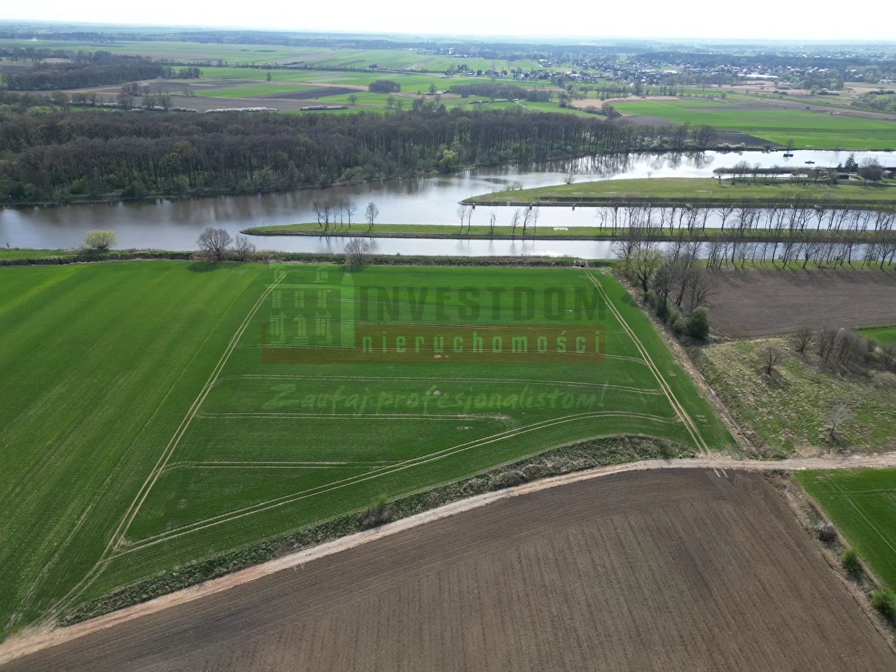 Działka 32 319,00 m², oferta nr , 16167, Obrowiec