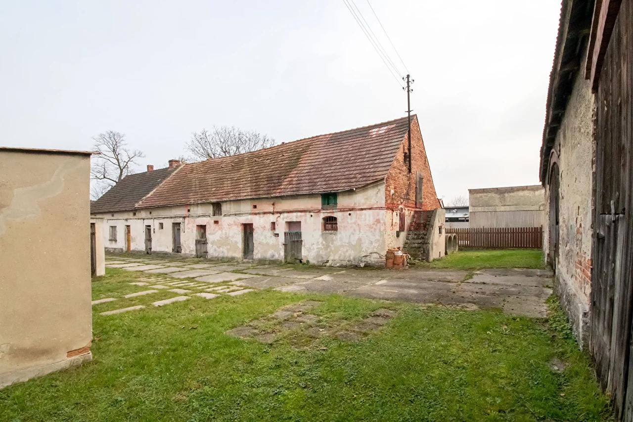 15923 - zdjęcie nr 3