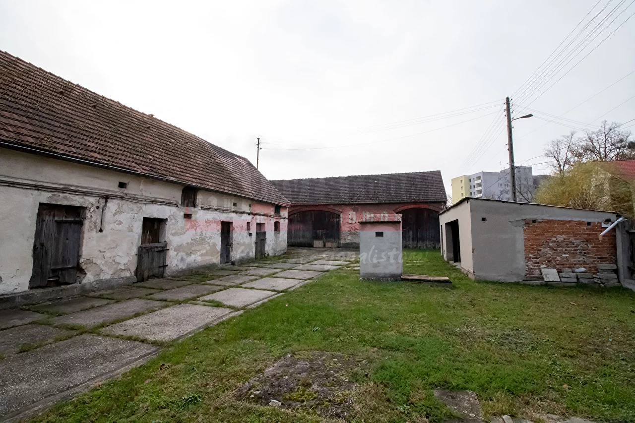 15923 - zdjęcie nr 4