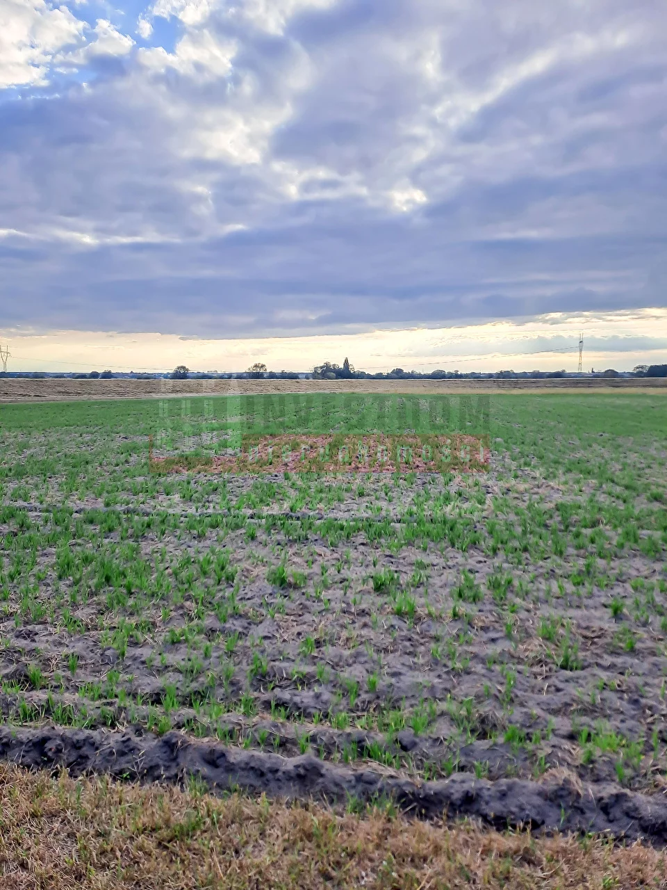 Działka 5 197,00 m², oferta nr , 15860, Opole, Grotowice