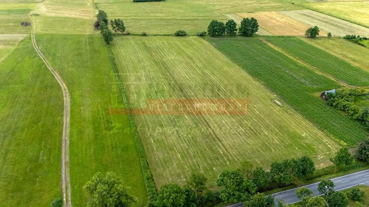 Działka 12 697,00 m², oferta nr , 16207, Opole, Malina