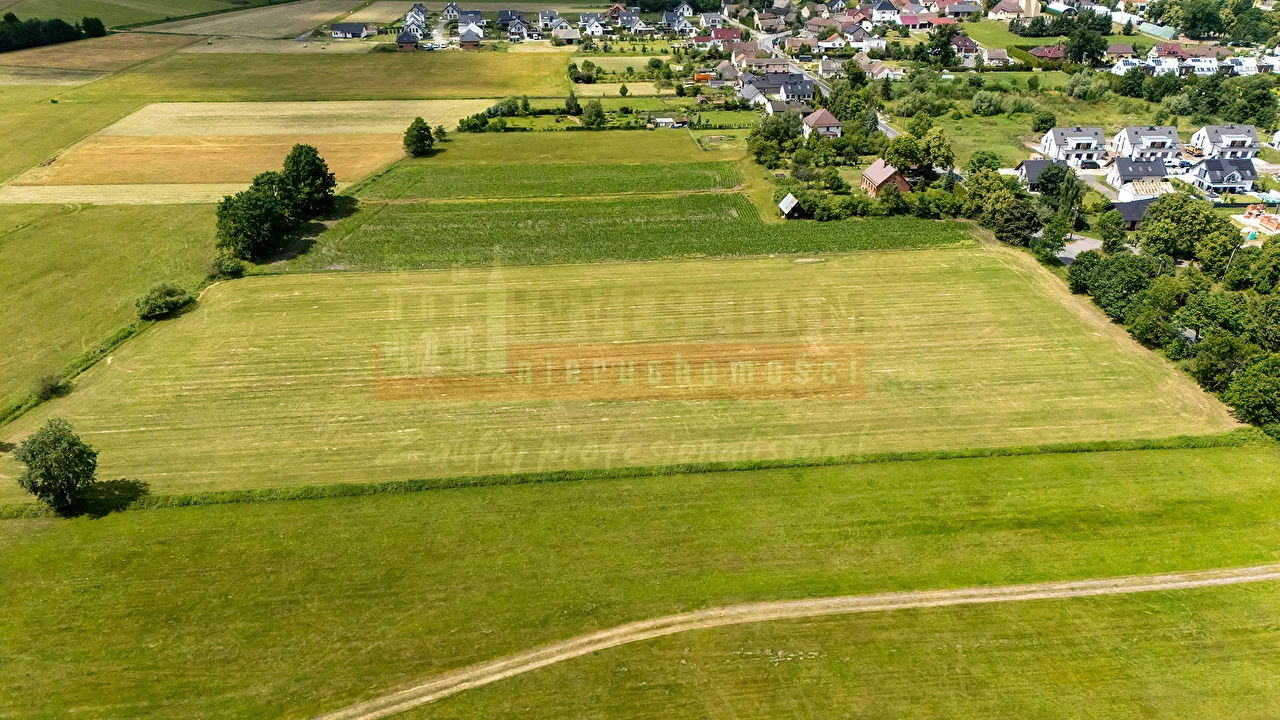 16207 - zdjęcie nr 3