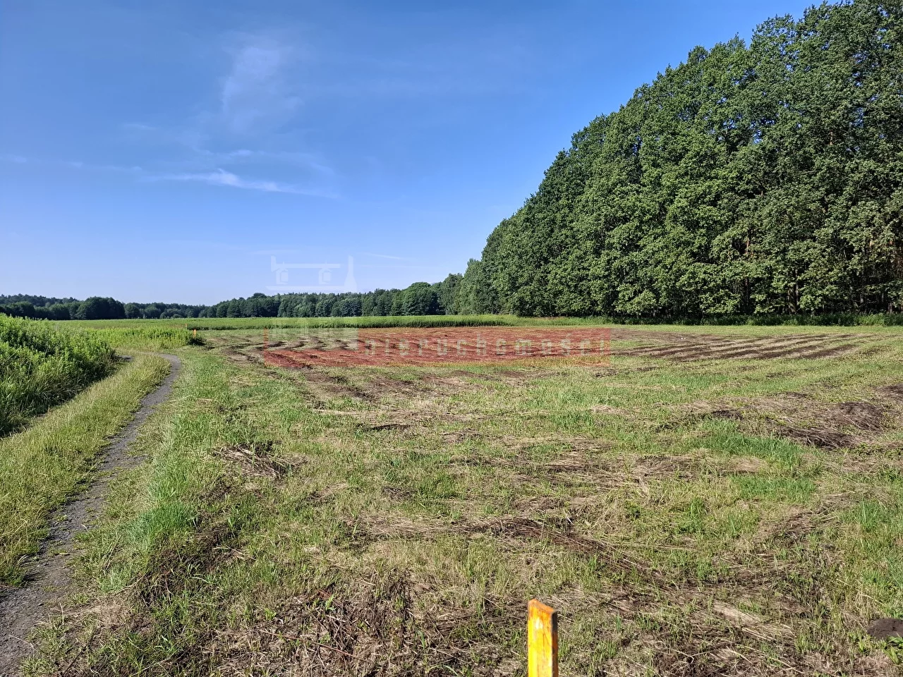 16287 - zdjęcie nr 3