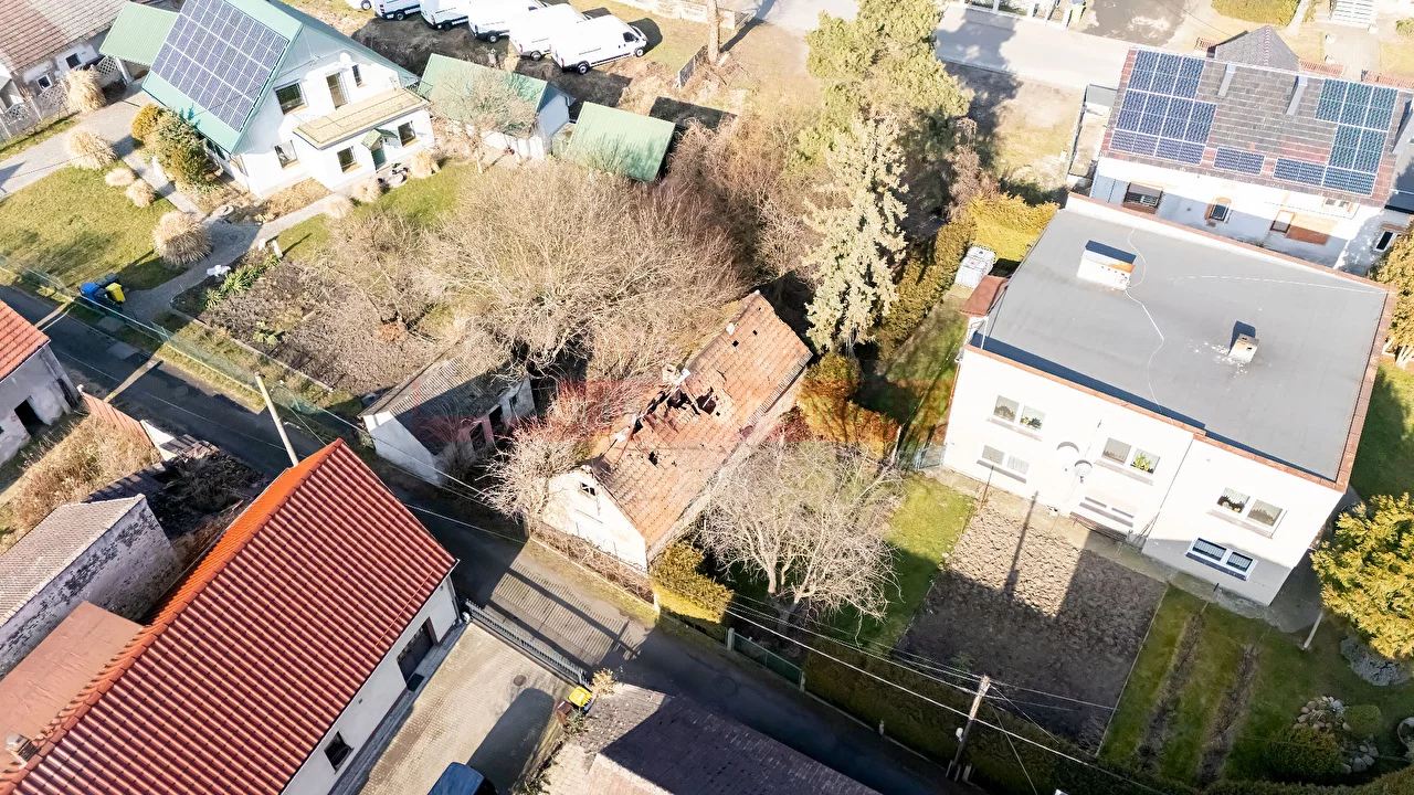 16029 - zdjęcie nr 0