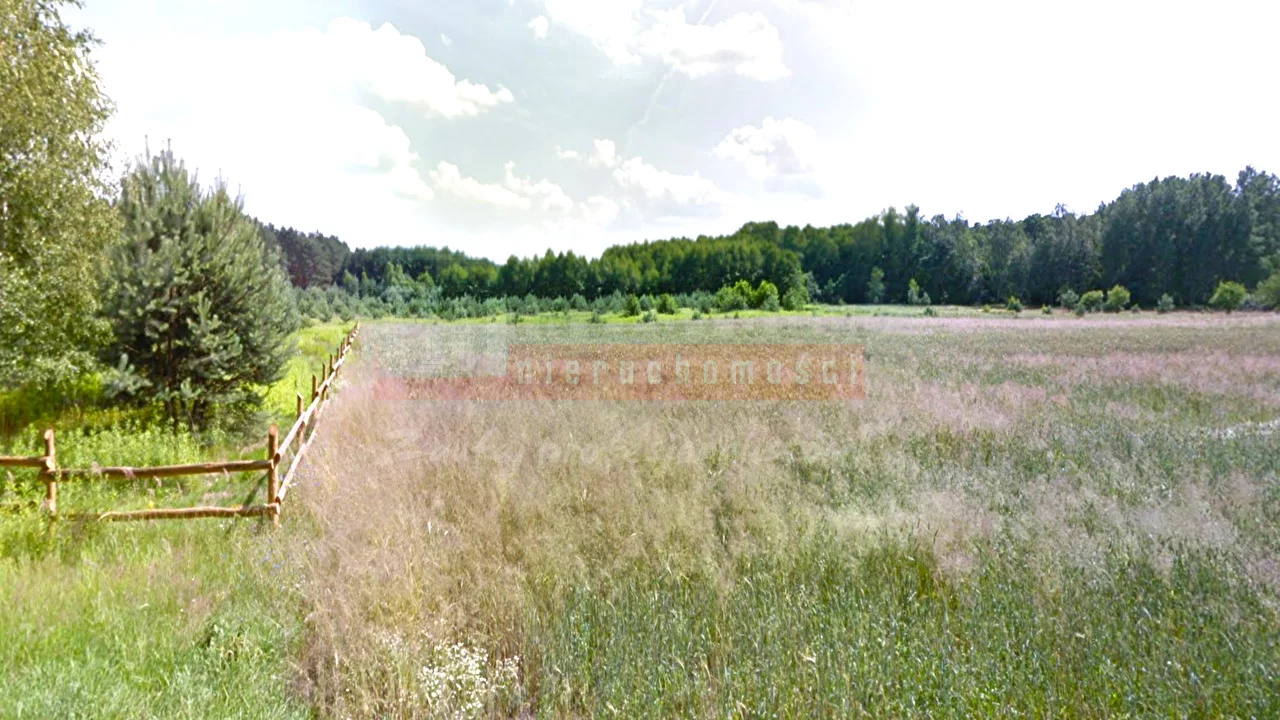 15910 - zdjęcie nr 2