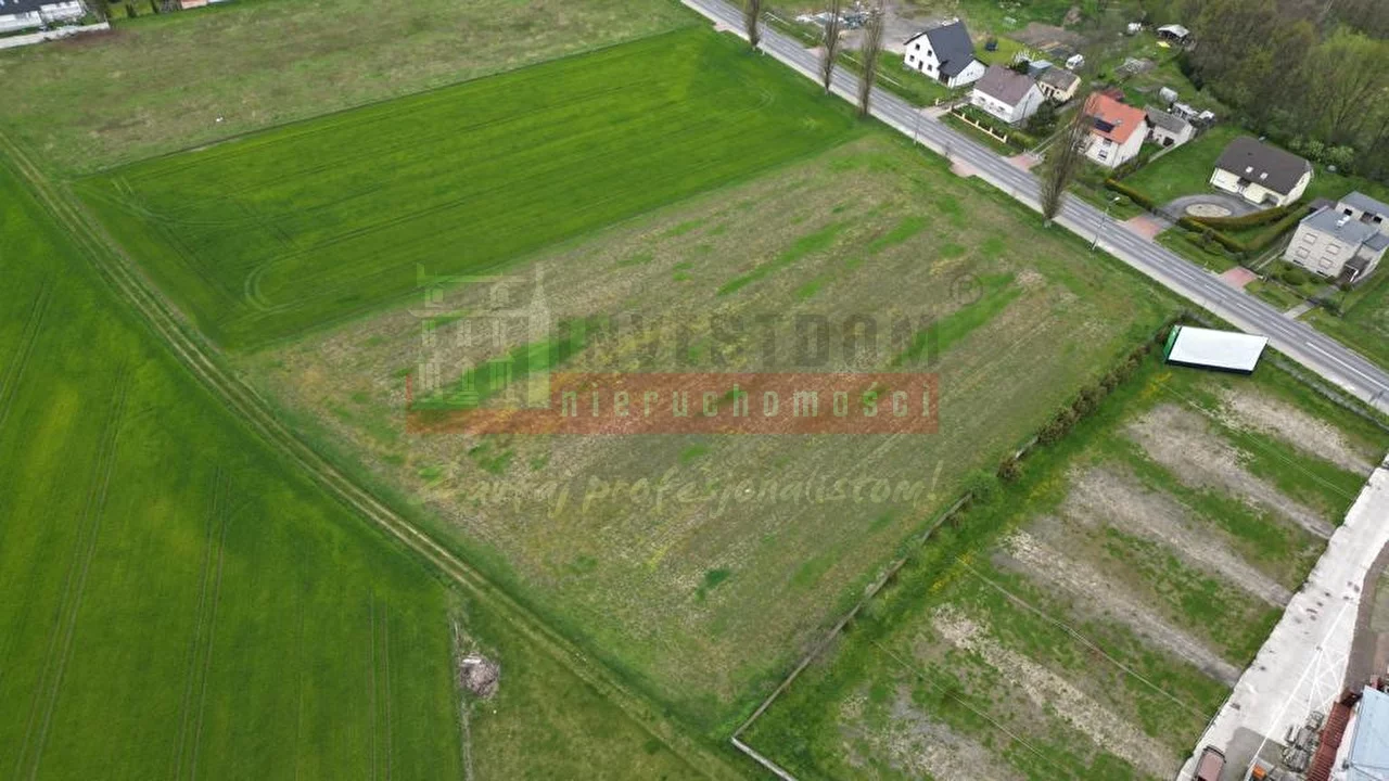 14955 - zdjęcie nr 0