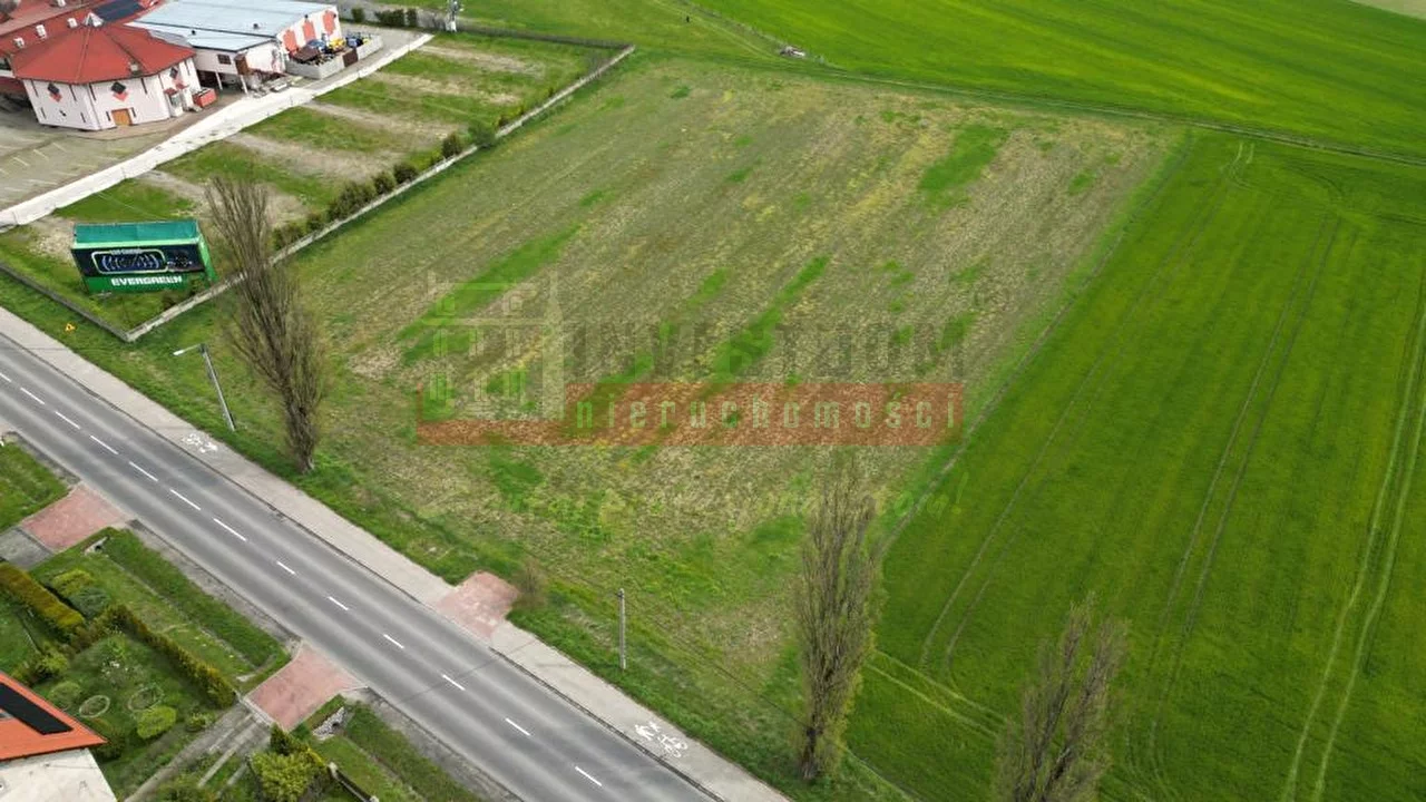 14955 - zdjęcie nr 3