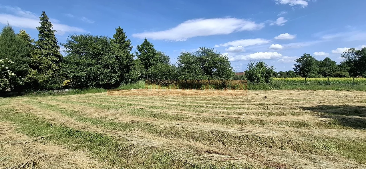 Apartamenty 15886 Popielów