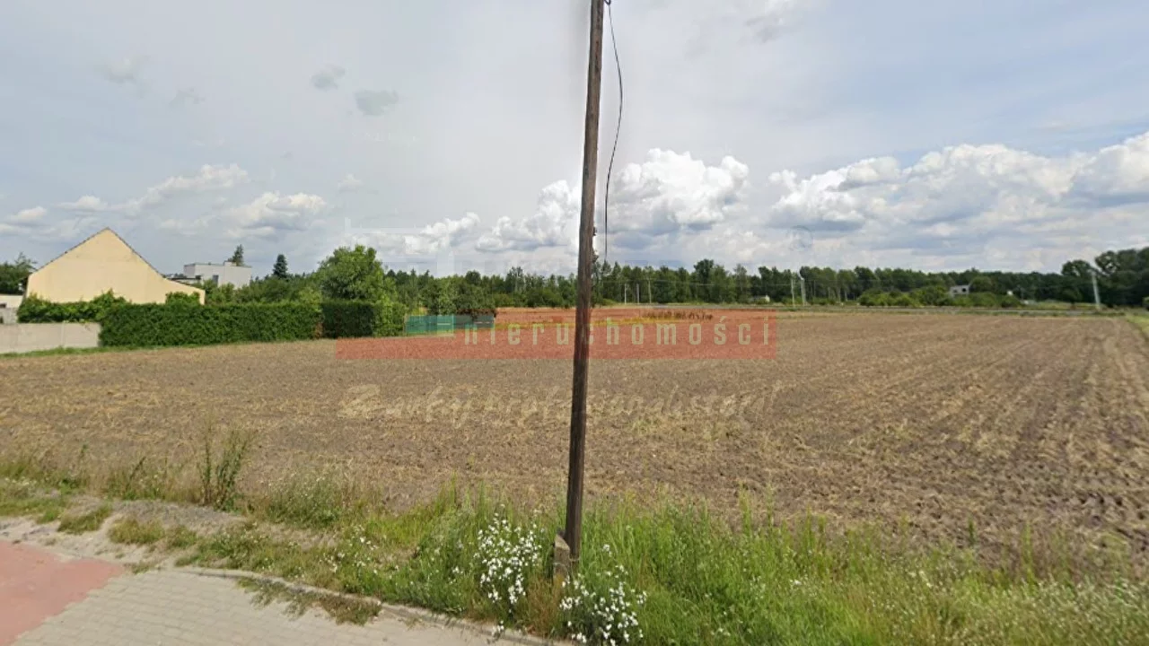 15588 - zdjęcie nr 3