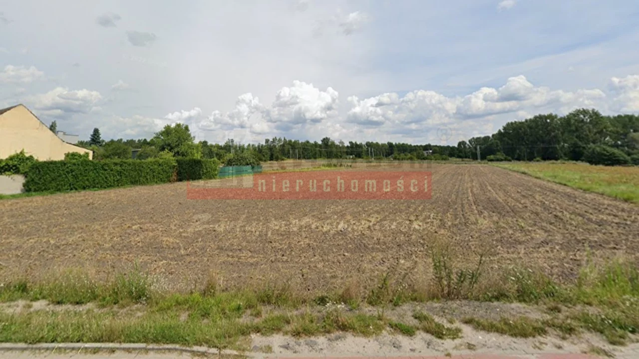 15588 - zdjęcie nr 4