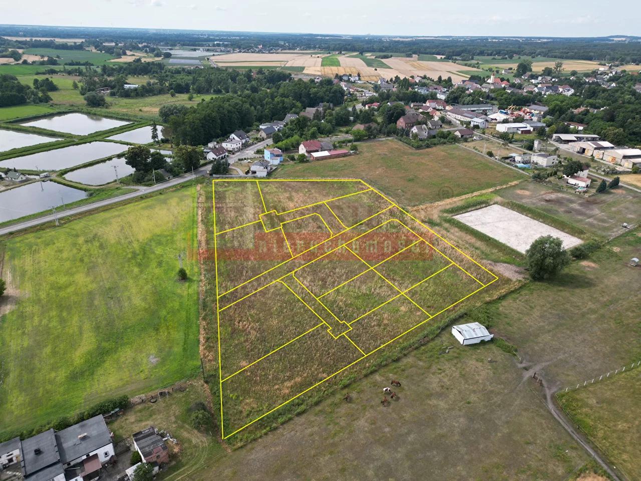 15114 - zdjęcie nr 3