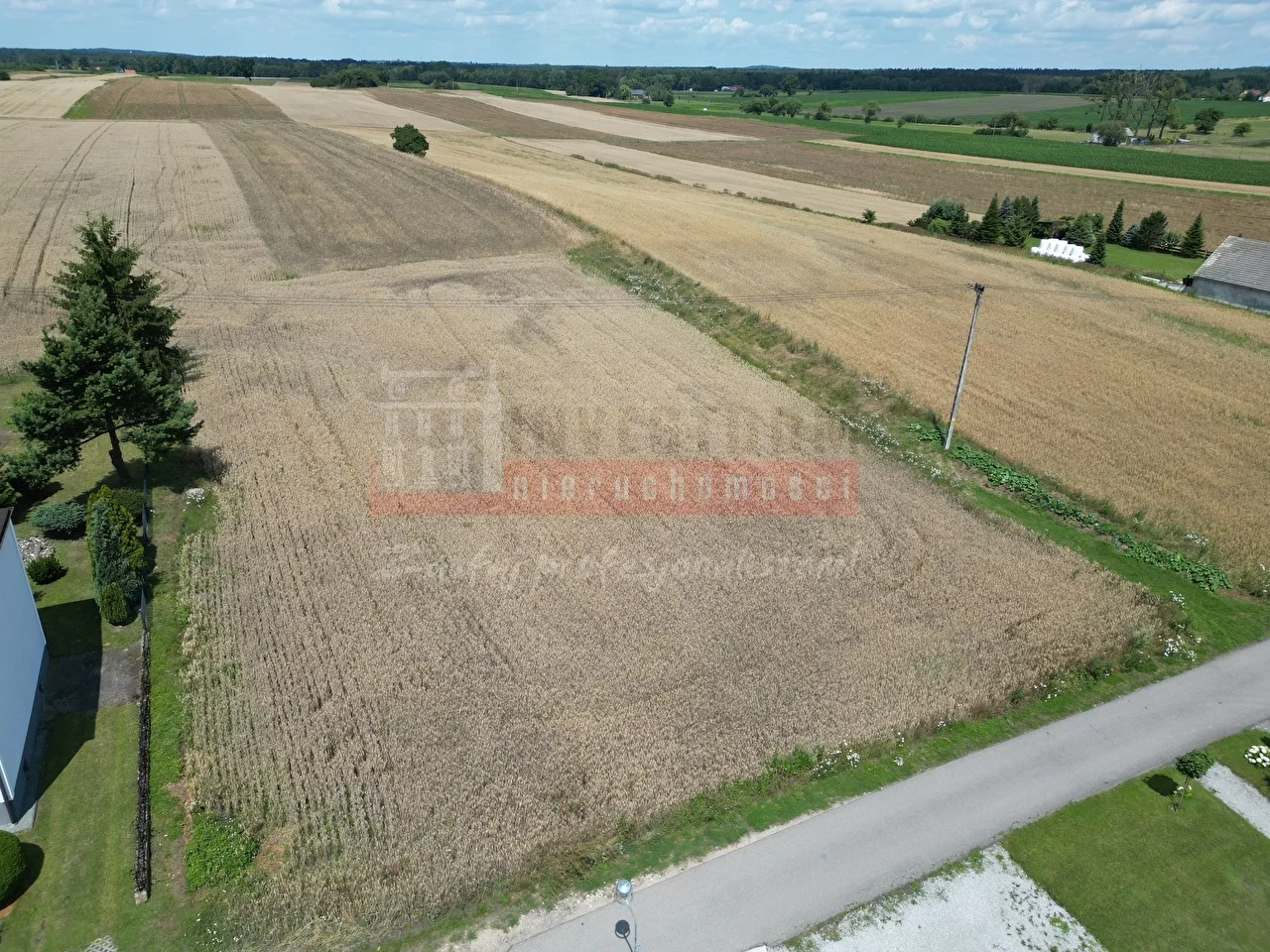 16327 - zdjęcie nr 0