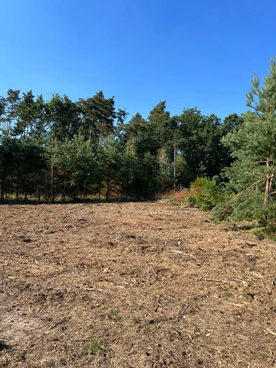 14507 - zdjęcie nr 5