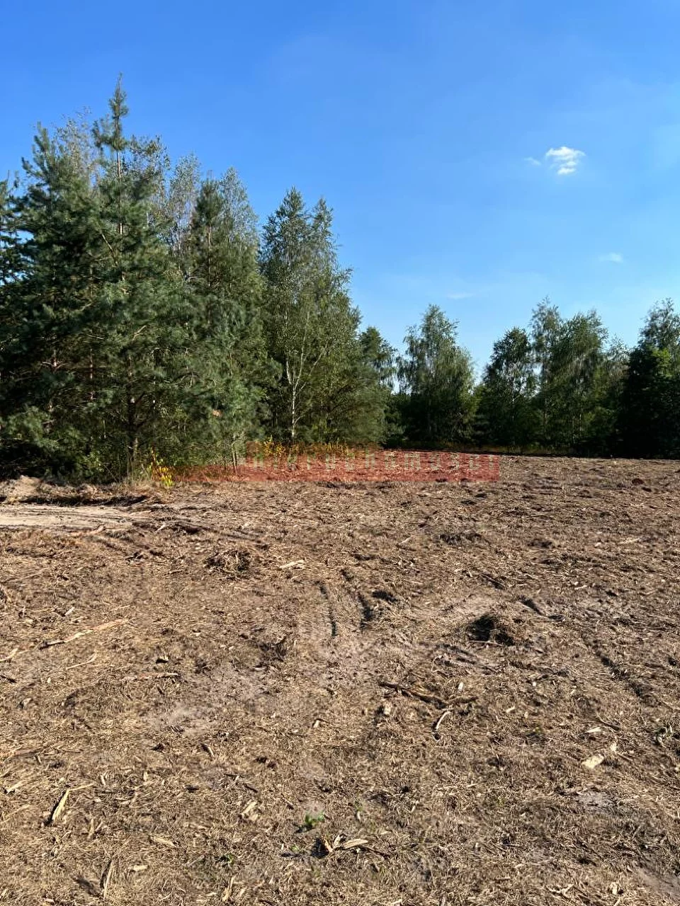 14508 - zdjęcie nr 3