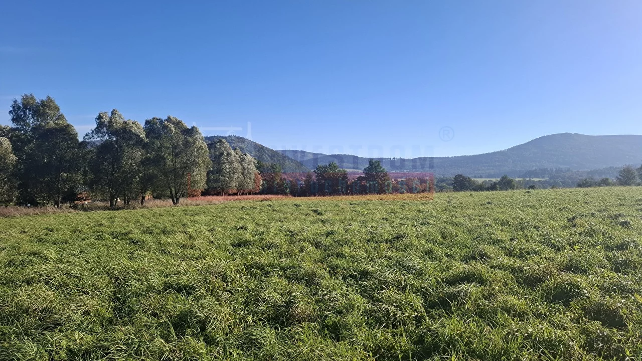 Działka 2 579,00 m², oferta nr , 16222, Stronie Śląskie
