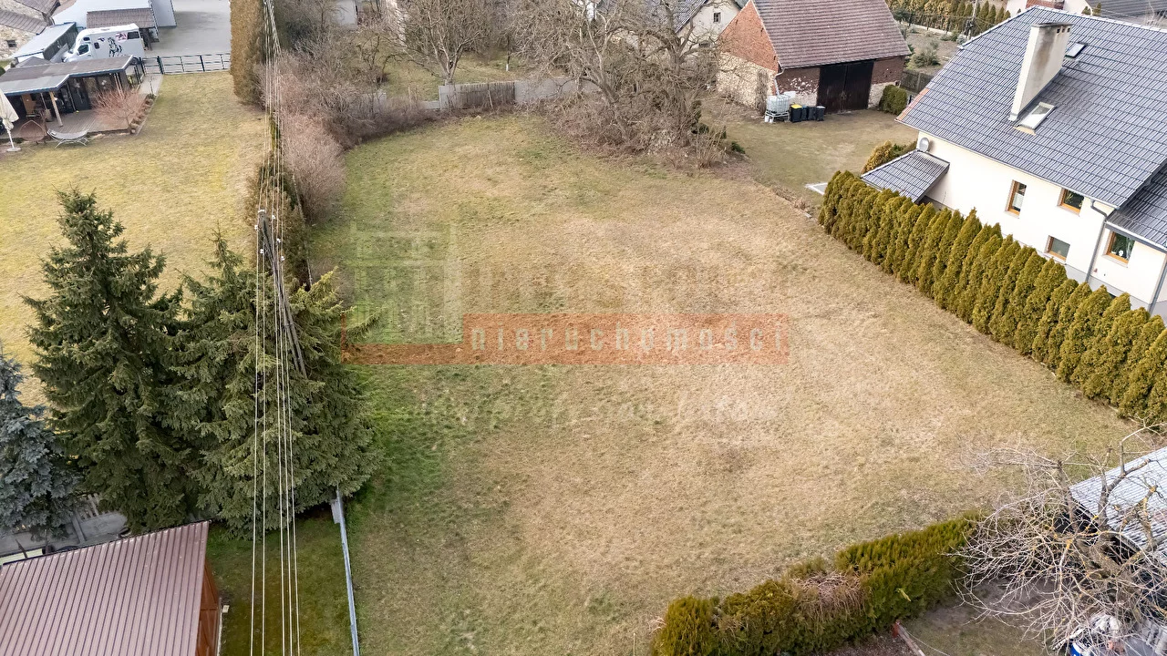 16049 - zdjęcie nr 0