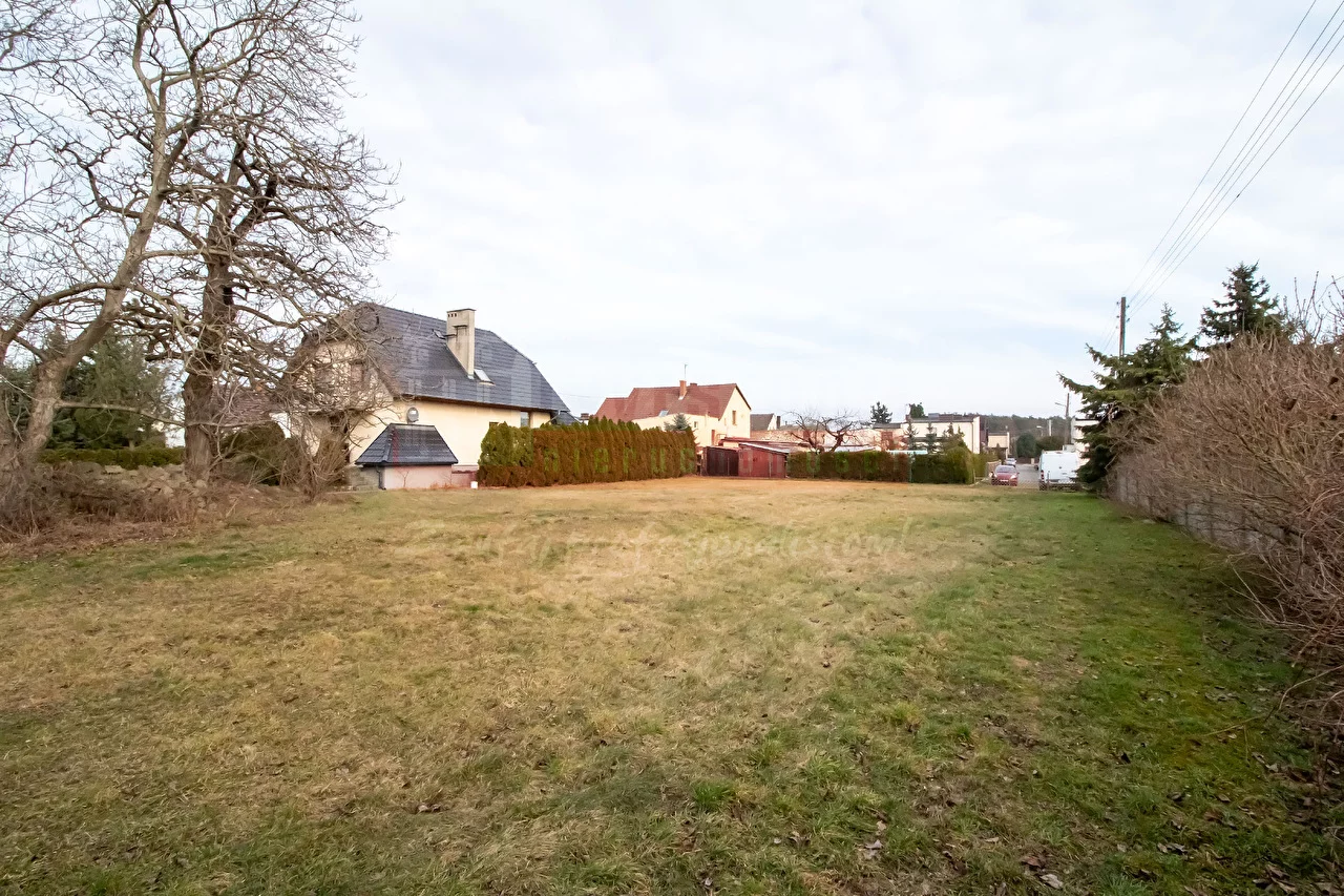 16049 - zdjęcie nr 5