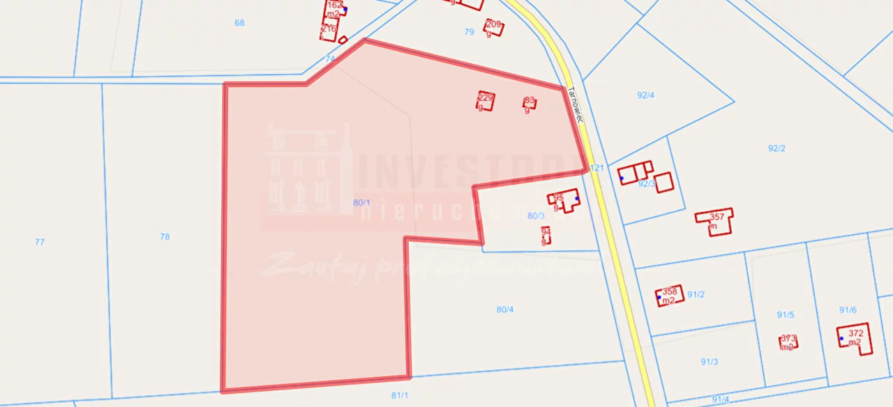 16392 - zdjęcie nr 3