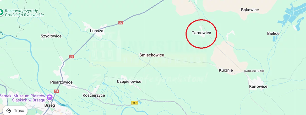 16393 - zdjęcie nr 0