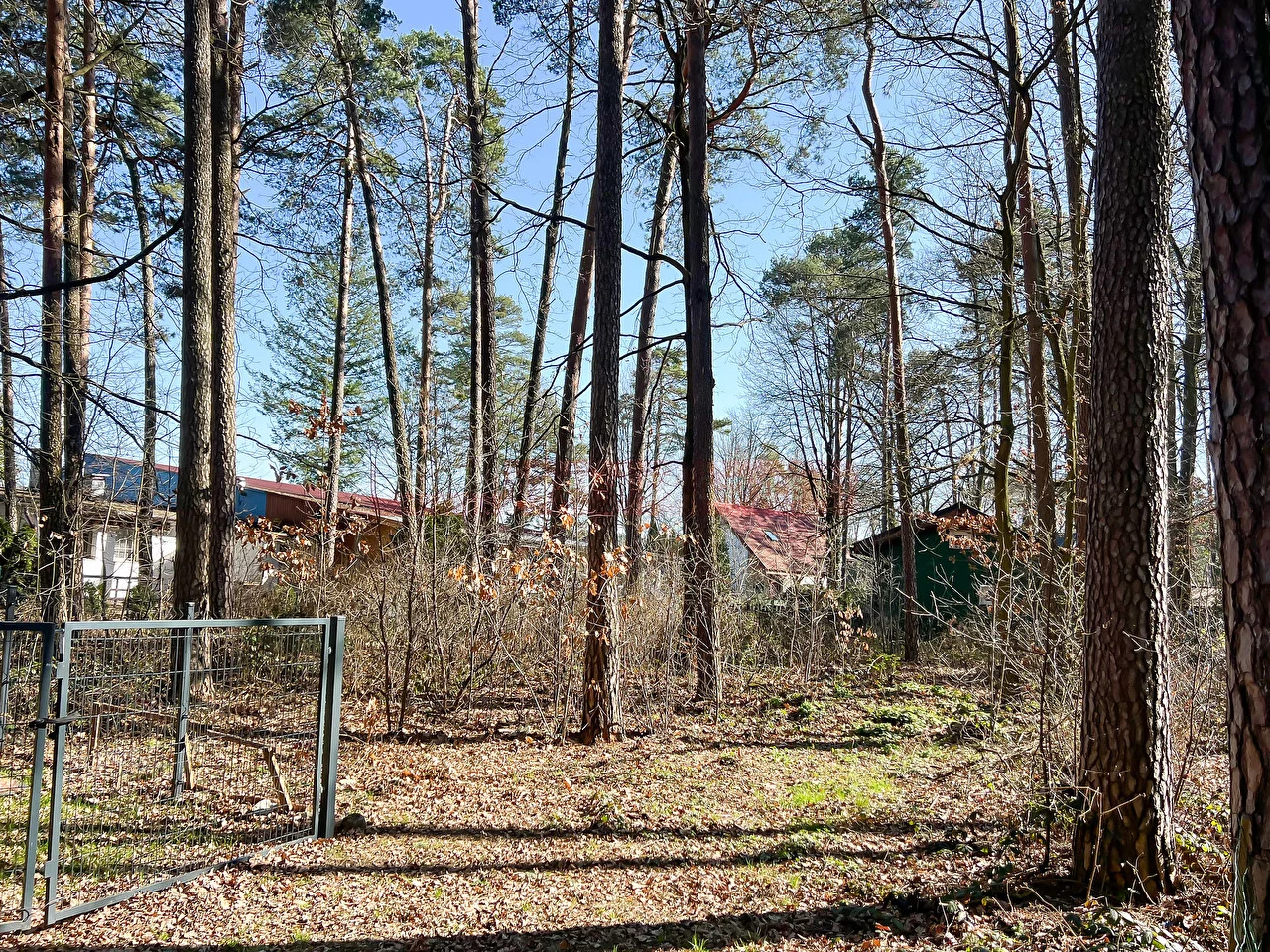 16096 - zdjęcie nr 3