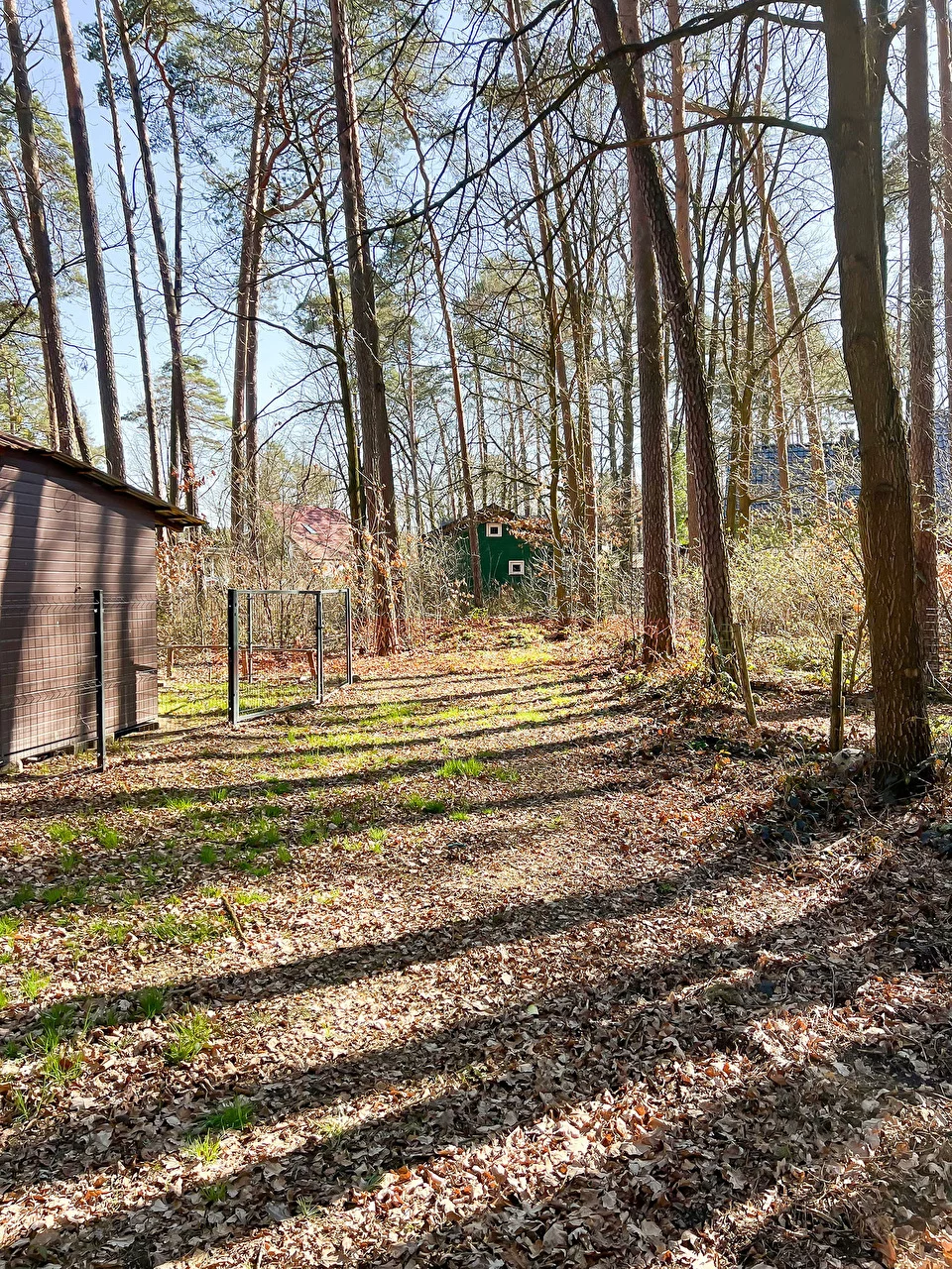 16096 - zdjęcie nr 4