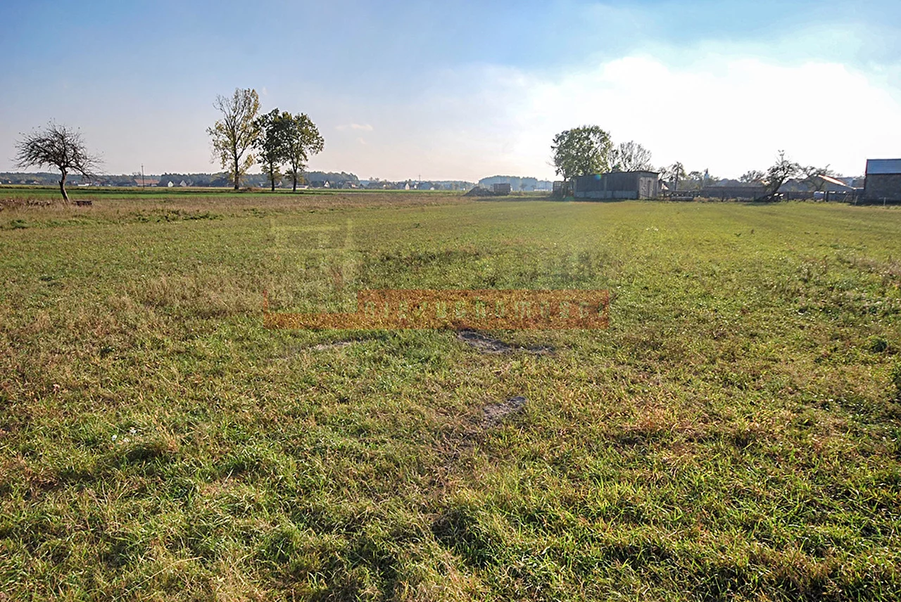 14113 - zdjęcie nr 0