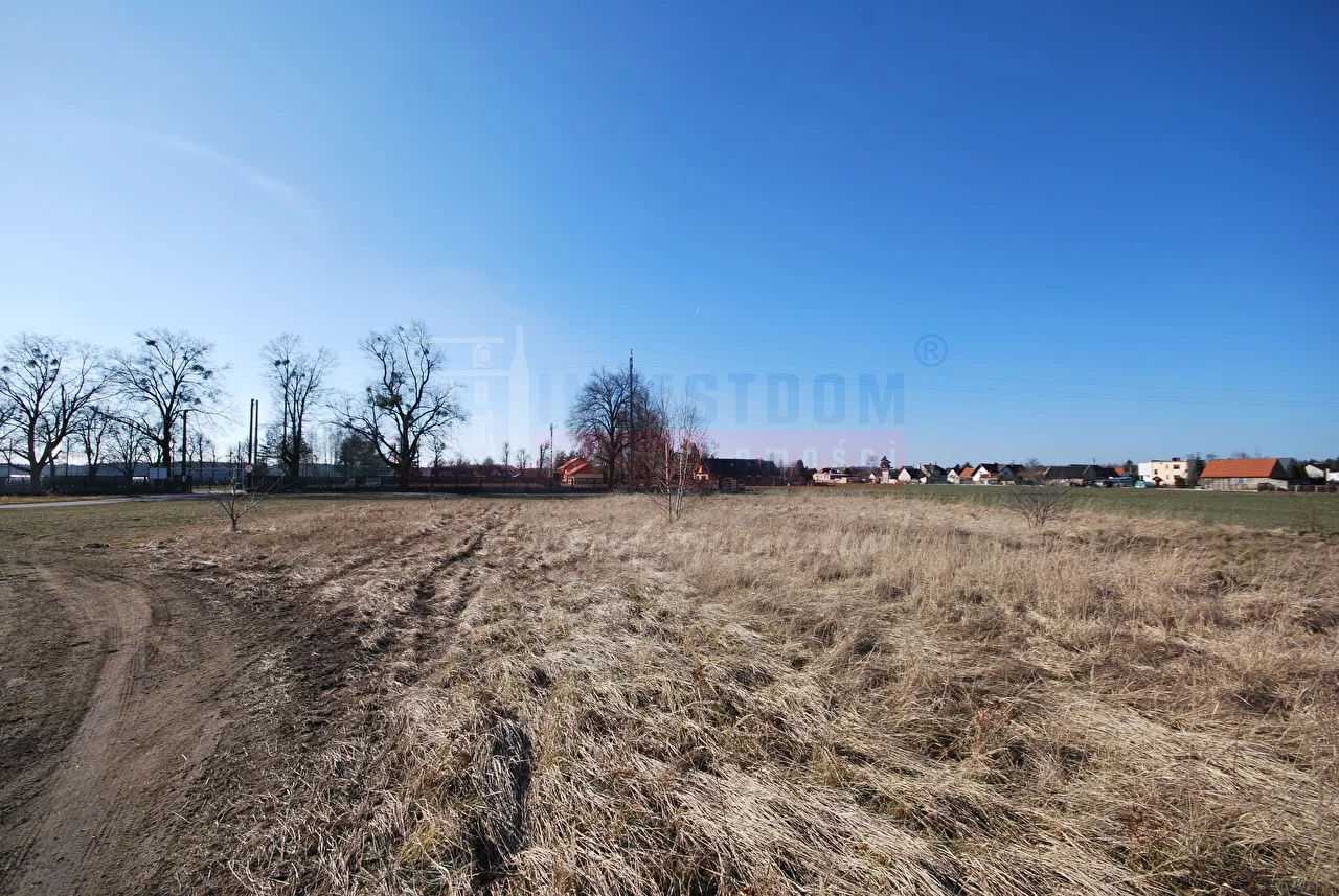 15738 - zdjęcie nr 3