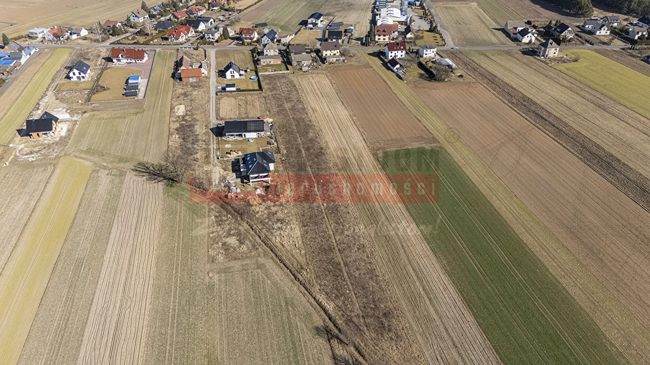 16074 - zdjęcie nr 4