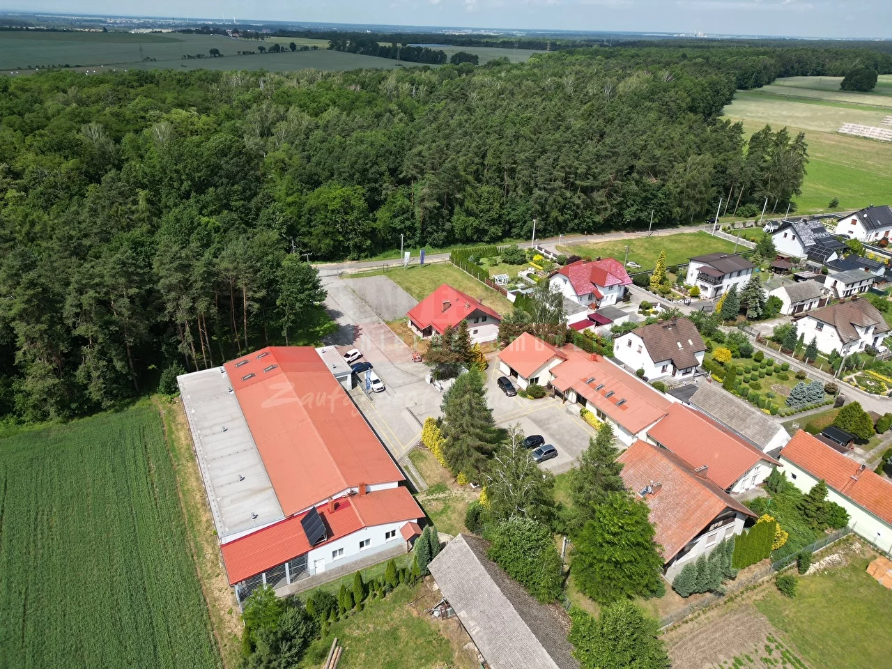 15308 - zdjęcie nr 0