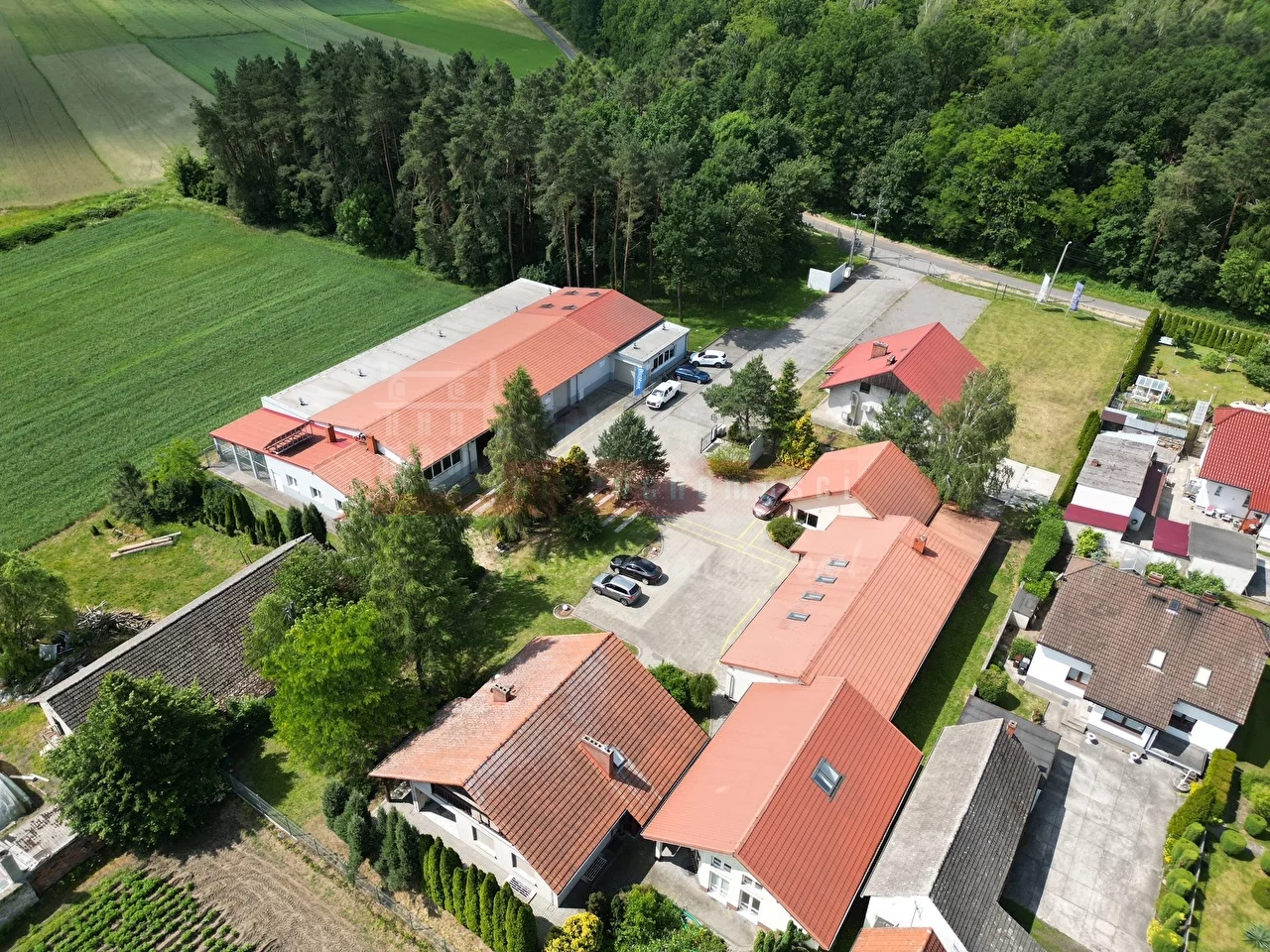 Lokal użytkowy 1 674,00 m², oferta nr , 15308, Dąbrówka