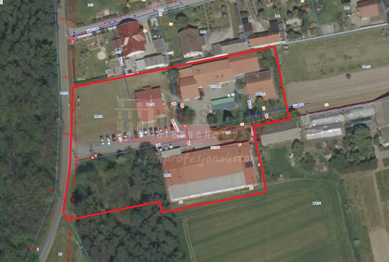 15308 - zdjęcie nr 4