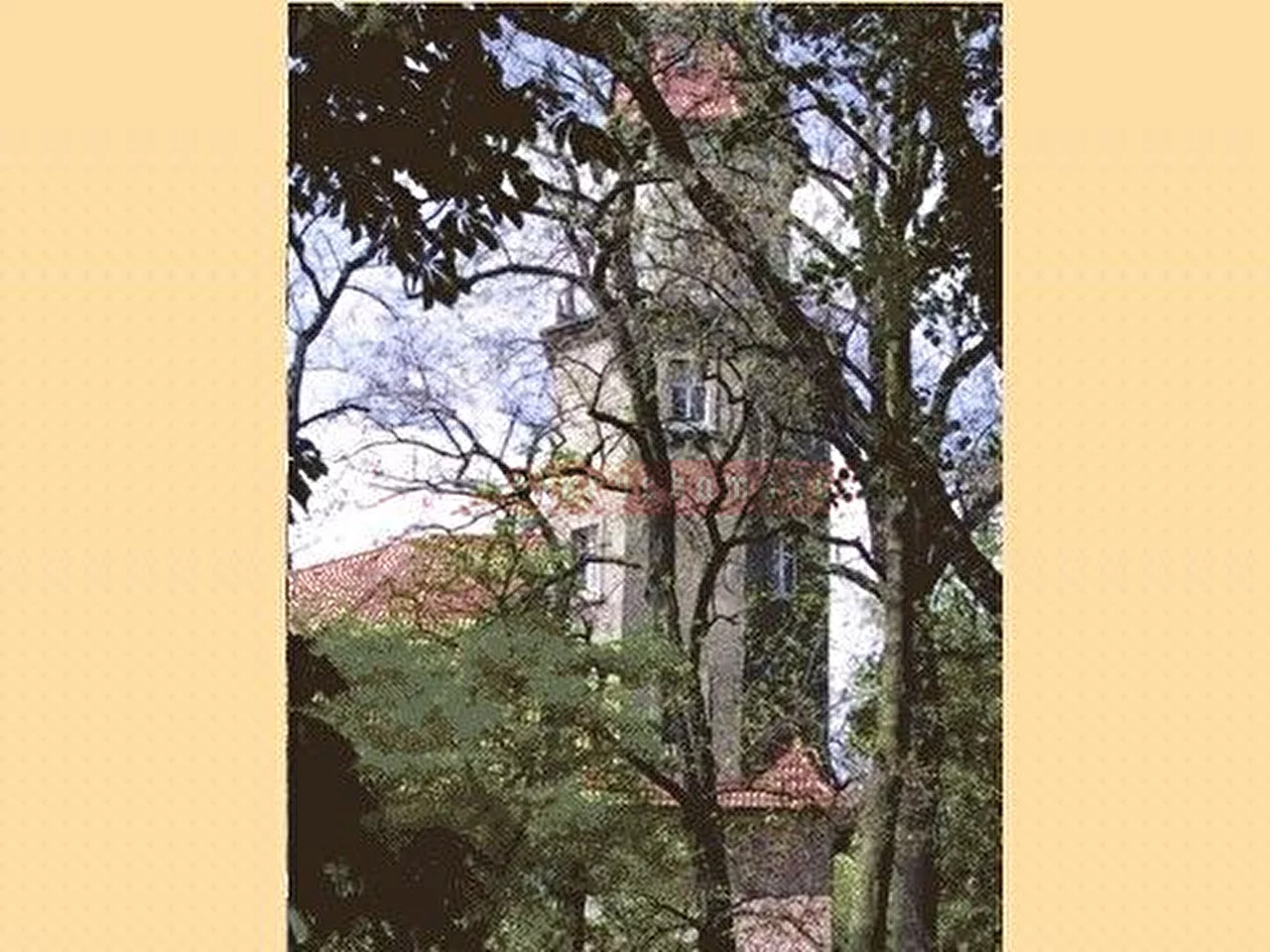 14307 - zdjęcie nr 1