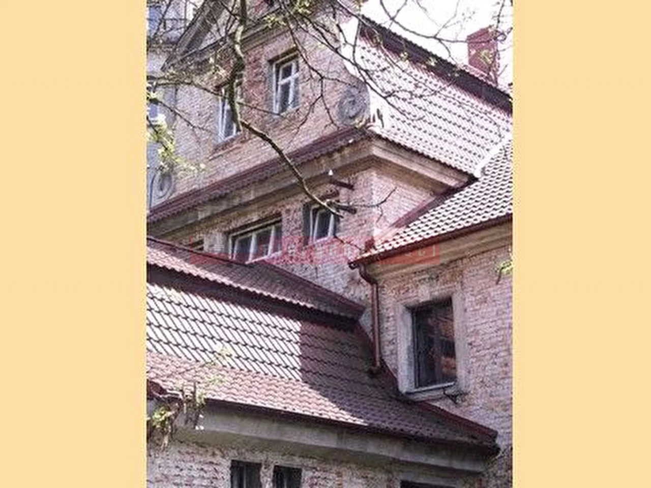 Lokal użytkowy 2 260,00 m², oferta nr , 14307, Janów