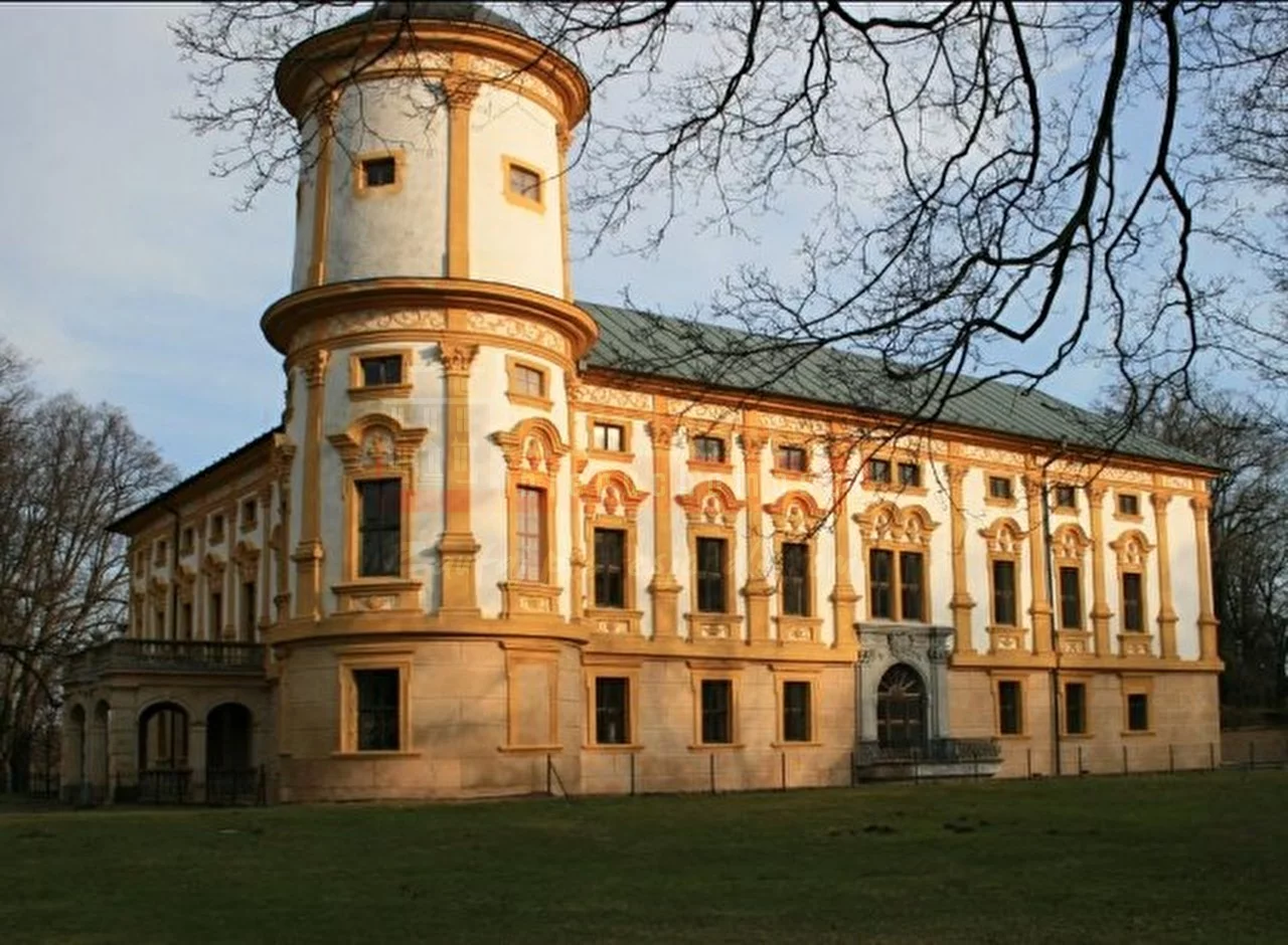 15585 - zdjęcie nr 1