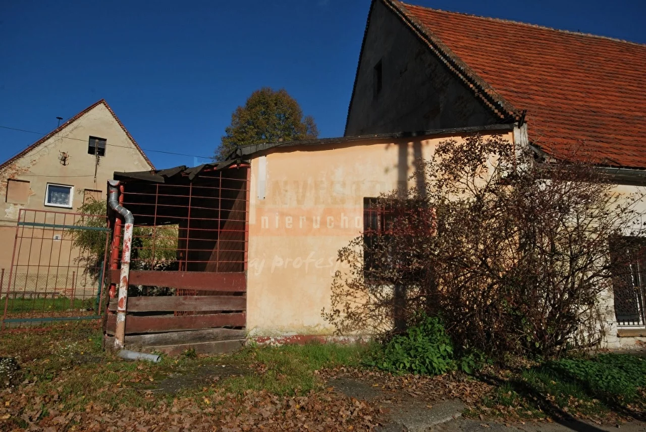 14742 - zdjęcie nr 0