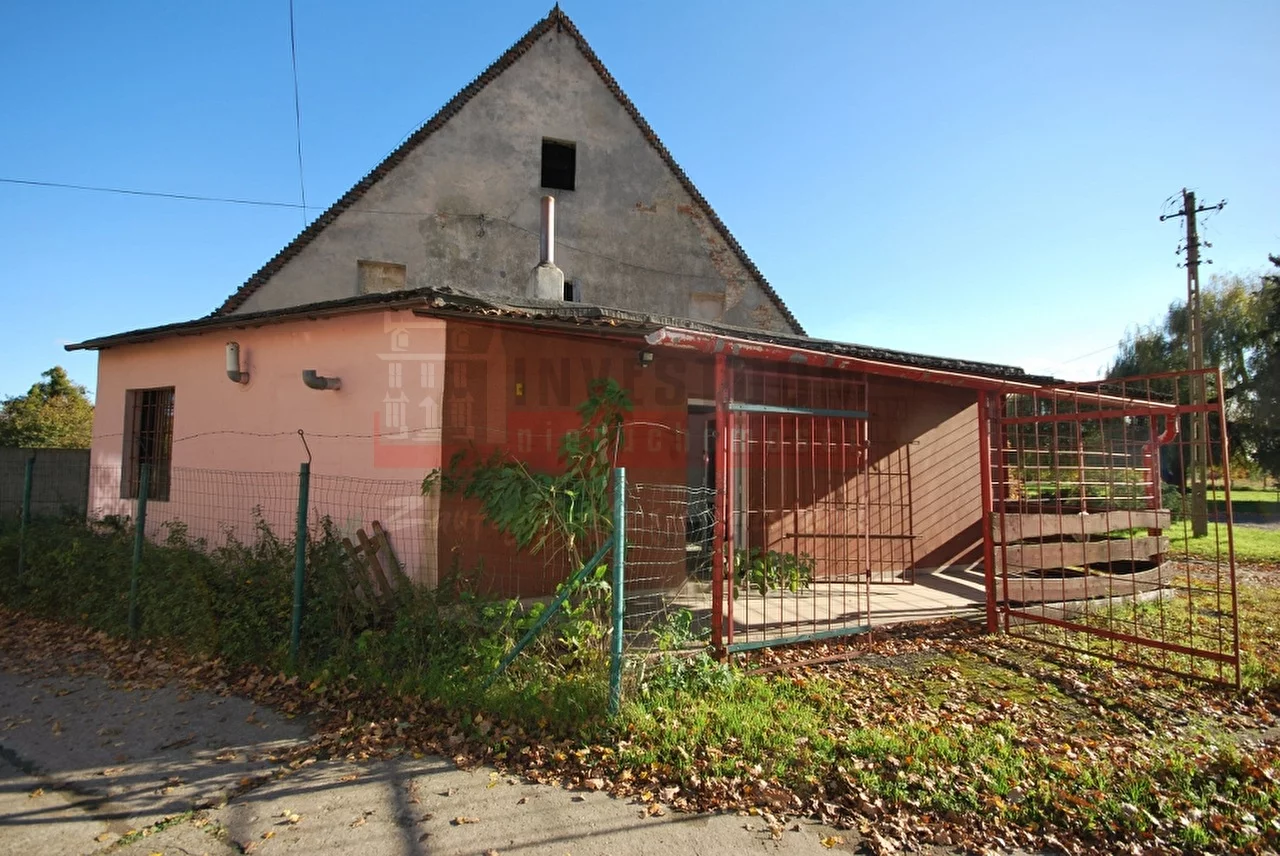 14742 - zdjęcie nr 1