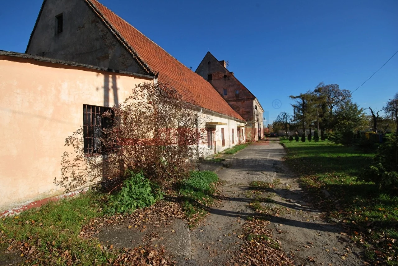 14742 - zdjęcie nr 3