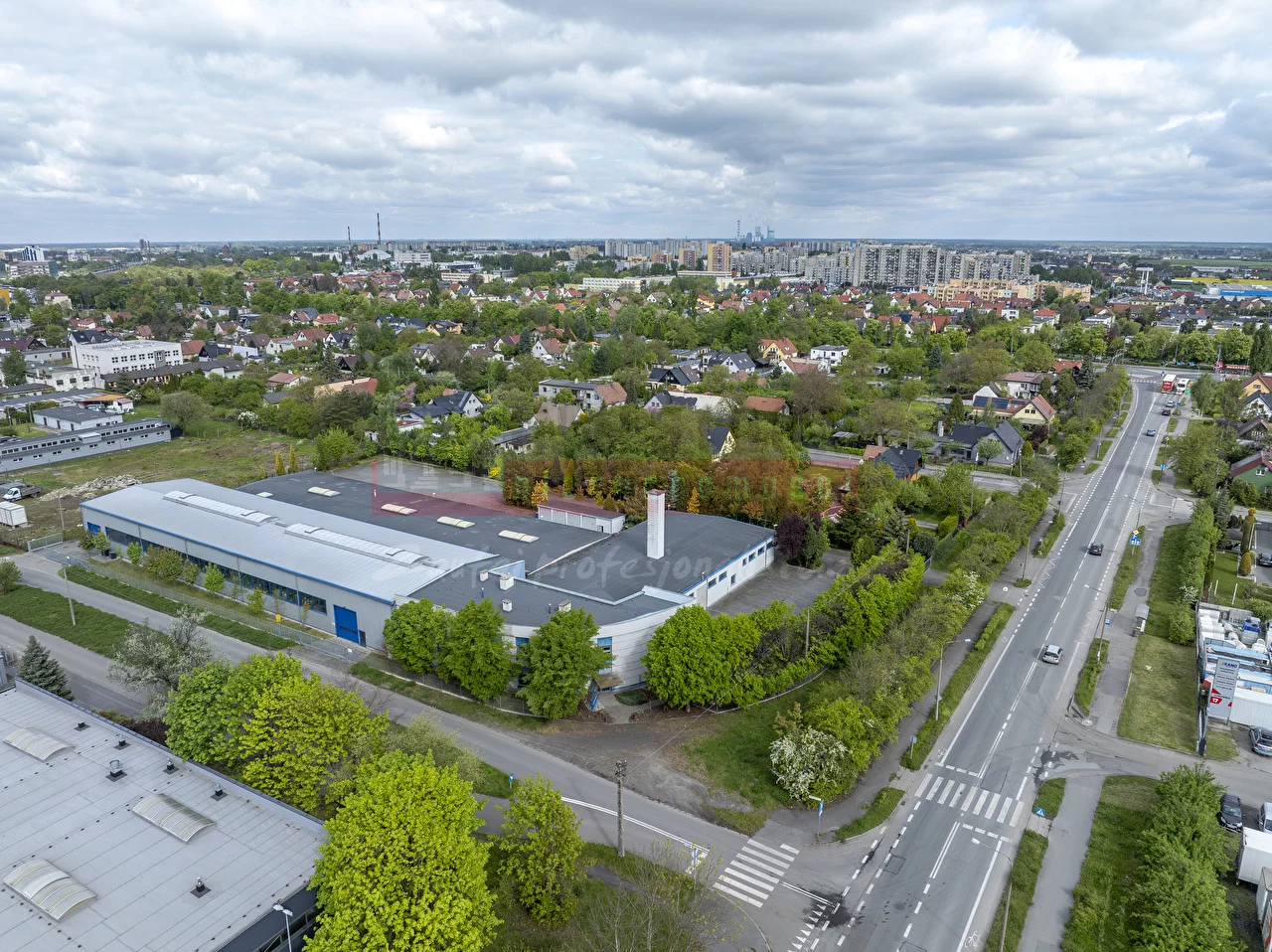 15531 - zdjęcie nr 3