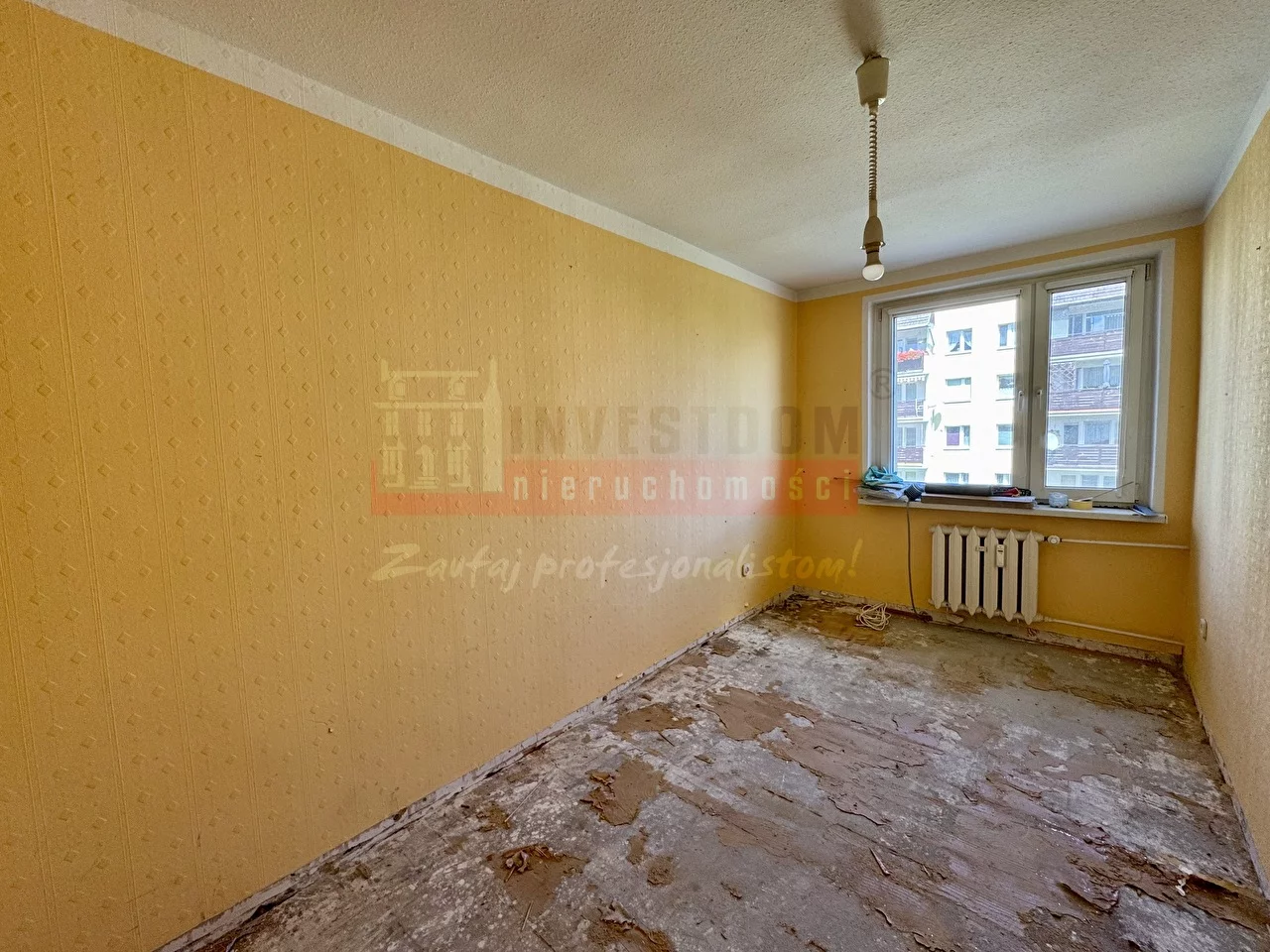 16306 - zdjęcie nr 4