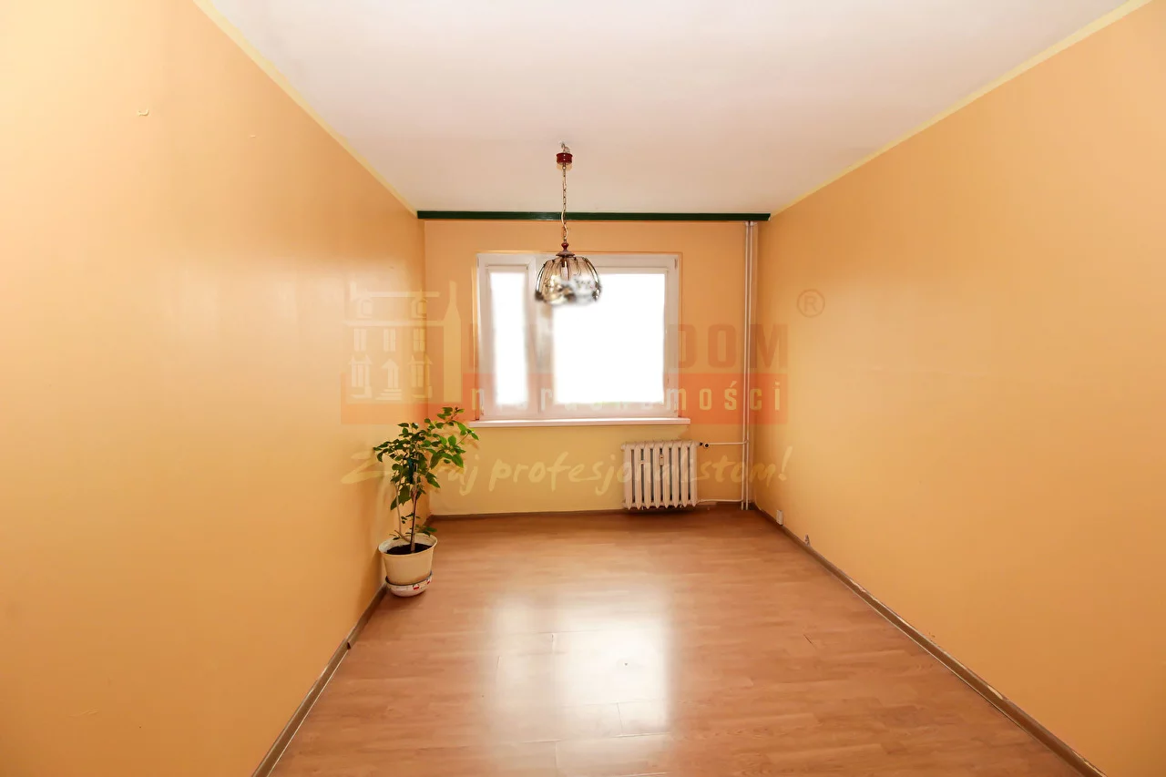 16139 - zdjęcie nr 2