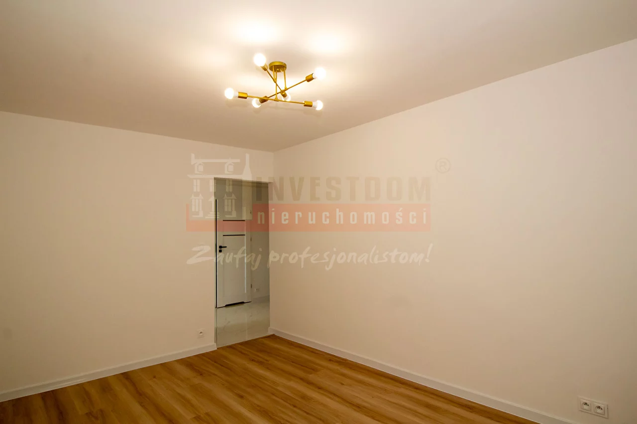 16289 - zdjęcie nr 3