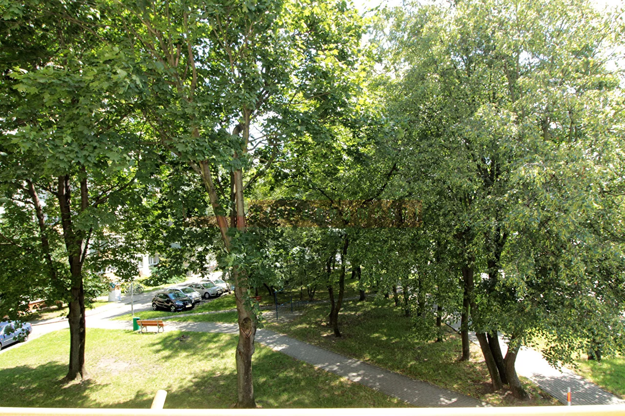 16289 - zdjęcie nr 4