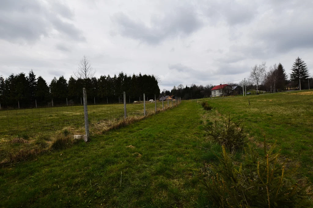 359/7393/OGS - zdjęcie nr 0