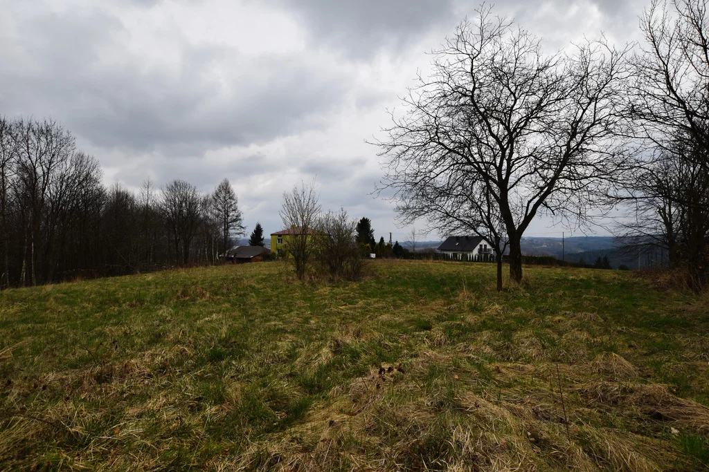 Działka 2 600,00 m², oferta nr , 359/7393/OGS, Babica