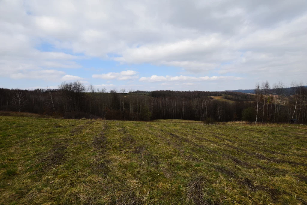 Działka 1 756,00 m², oferta nr , 357/7393/OGS, Błażowa Dolna