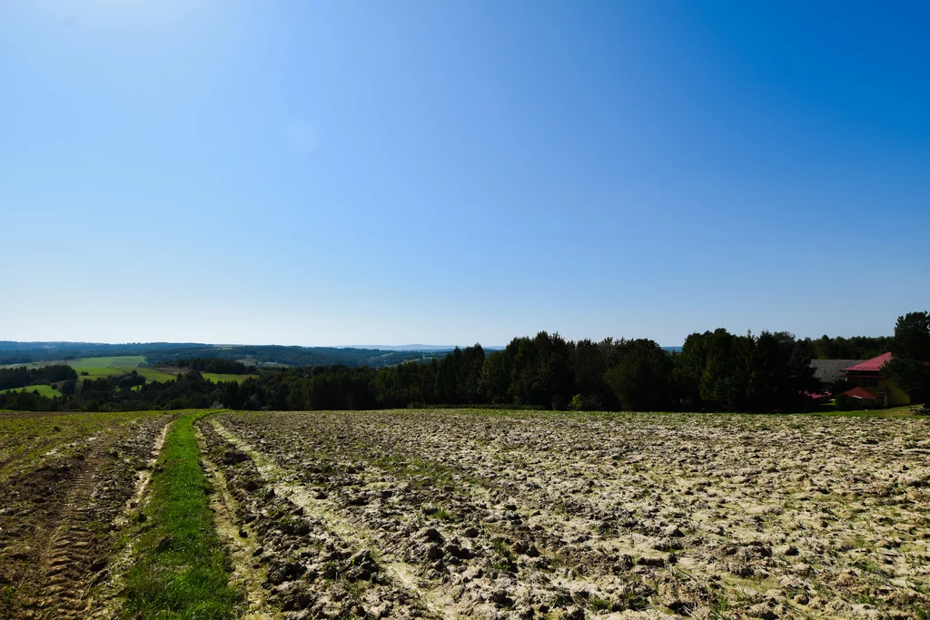 Działka 7 000,00 m², Brzezówka, Sprzedaż